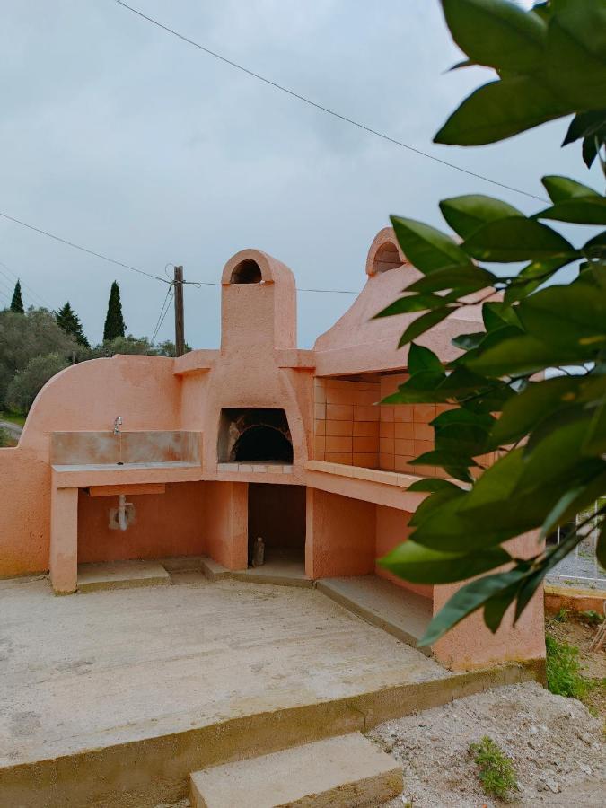 Zika's House * Kanálion